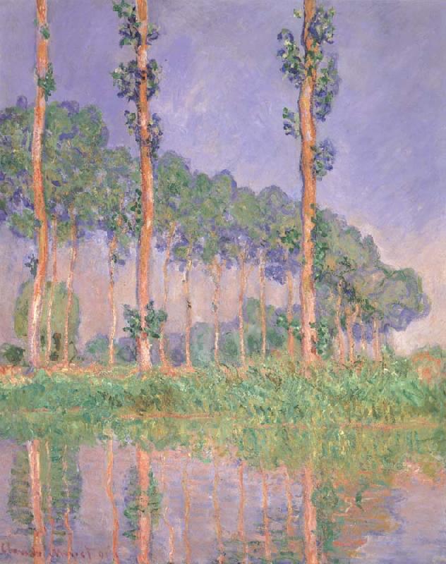 Claude Monet Poplars,Pink Effect